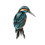 Kingfisher’s GHG emission reduction plan