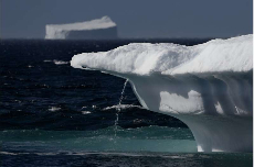 Environment, Conservation, and Sustainability Journals