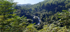 Five principles to leverage the humanistic values for biodiversity conservation and climate change mitigation