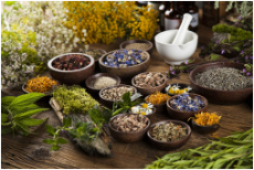 BEE JP2: Neglection of natural healing capabilities—The unknown, forgotten, underestimated, and underutilized healing garden