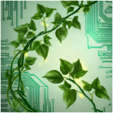 The Green–Green Dilemma: When Renewable Energy Harms Nature