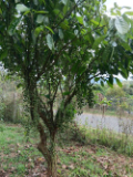 Nurturing sustainability through community-based tourism